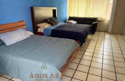 Alvaro Obregon House | Águilas Room Rent