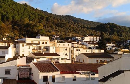 El Bosque Apartment | ÁTICO CAHI
