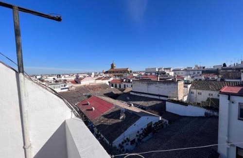 Santa Marina Apartment | Ático con vistas a patio cordobés