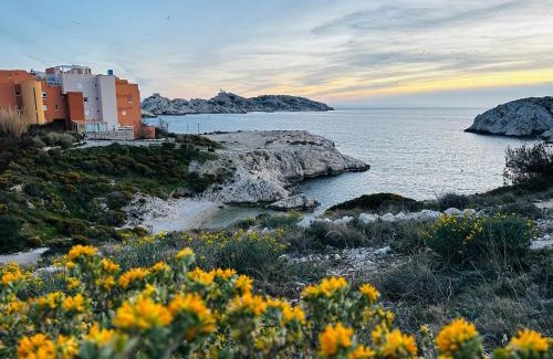 Les Iles Apartment | île du Frioul, la daurade du Frioul, marseille