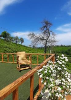 Pazar Other | Ömra bungalov