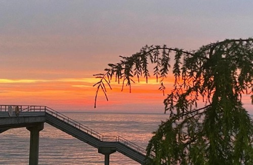 Ardesen Hotel | Şelale Otel