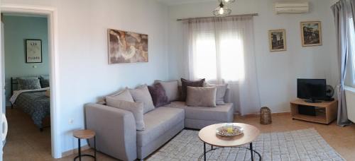 Karpenisi Apartment | Αλόη