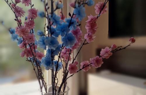 Sivota Apartment | Μπουκαμβίλια - Bougainvillea