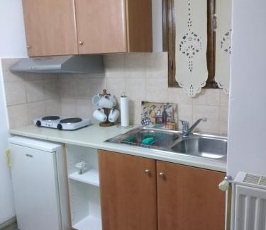 Keramidi Apartment | Ξενώνας Το Πέτρινο 2