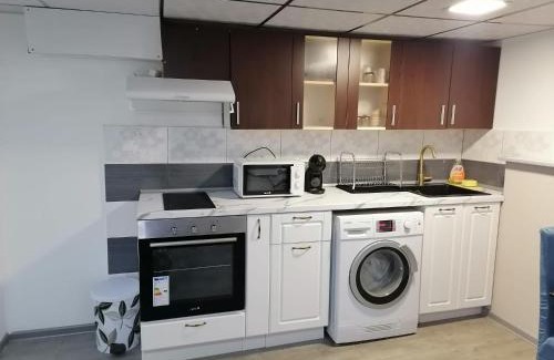 Vratsa Apartment | Апартамемт 3 места с кухня с дворче