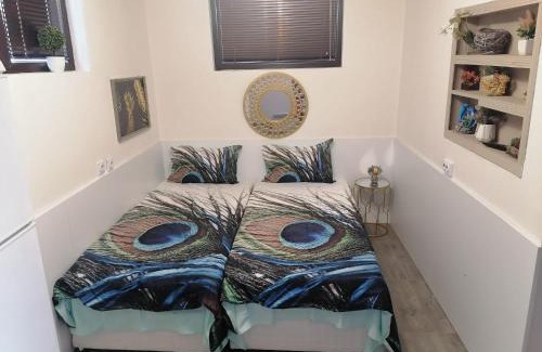 Vratsa Apartment | Апартамемт 3 места с кухня с дворче