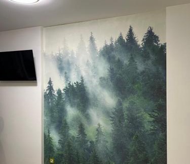 Chernovtsy Apartment | Апартаменти-студія на Герцена