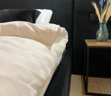 Zalissya Apartment | Апартаменти центр Чортків