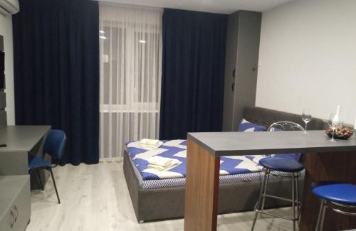 Uzhhorod Apartment | АпартаментиTrembita