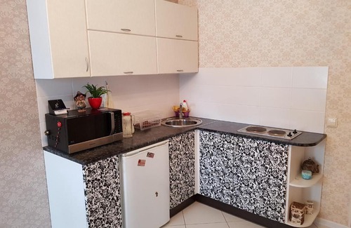 Petrozavodsk Apartment | Апартаменты "Гранд" в центре города с видом на парк и реку