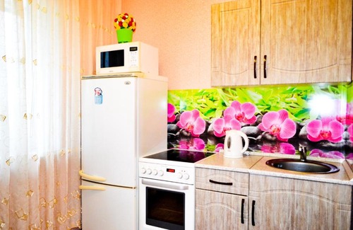 Chelyabinsk Apartment | Апартаменты на Румянцева, 2в