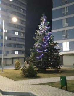 Riscani Apartment | Апартаменты премиум класса у цирка