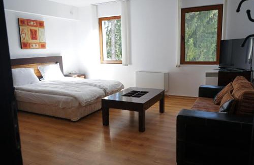Pamporovo Apartment | АПАРТАМЕНТ ЗА ГОСТИ ЕВЕЛИН