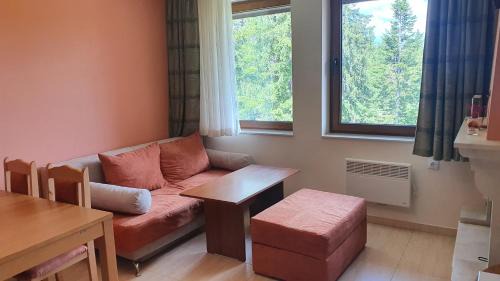 Pamporovo Apartment | Апартамент Pamporovo Palace