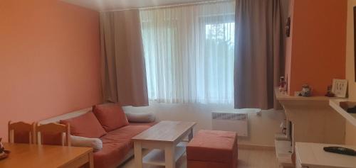 Pamporovo Apartment | Апартамент Pamporovo Palace