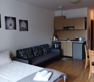 Razlog Apartment | Аспен валей С420