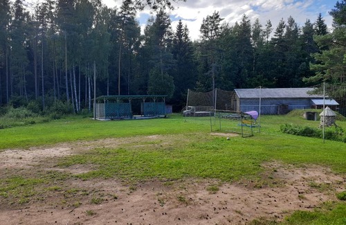 Pechory Resort | База отдыха "Динамо"