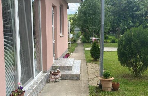 Berehove House | Будинок для відпочинку Dana
