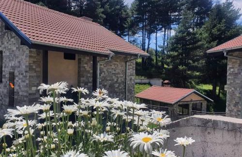 Dospat House | Ваканционна къща ,Родопски уют "