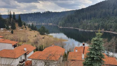 Dospat House | Вила Родопи