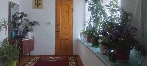 Bokonbayevo House | Гостевой дом Максат