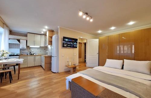 Sukhinovka Apartment | Двокімнатна квартира біля ТРЦ КИЇВ та Каштанової Алеї Документи для відряджень Мережа AlexApartments Цілодобове безконтатне заселення