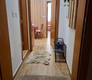 Pamporovo Apartment | Двуспален апартамент Милена в хотел Росица,Пампорово
