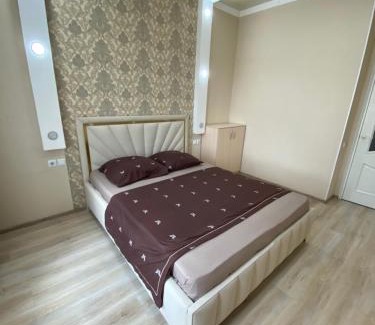 Atyrau Apartment | Двухкомнатные бизнес апартаменты в ЖК Заман