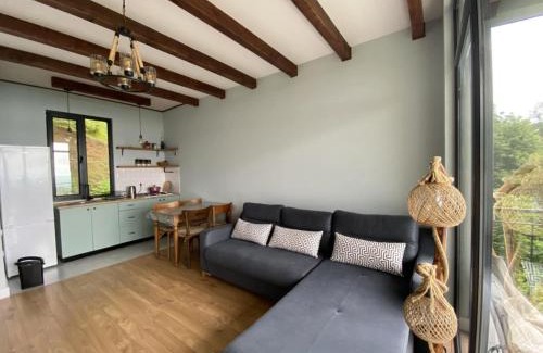 Kobuleti House | дом в квирике