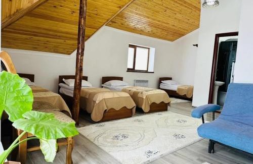 Karakol House | Жайсан