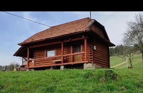 Huklyvyi Apartment | Затишна хата