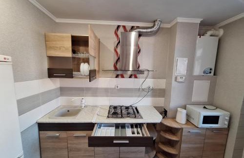 Sukhinovka Apartment | Квартира в Розсошенцях з Великим ліжком ванною і кондиціонеромrtments Документи для відряджень