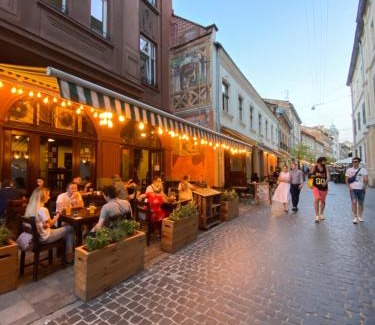 Lviv City Center Apartment | Квартира на вулиці Лесі Українки 19