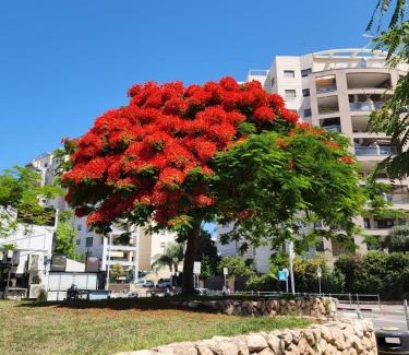 Bat Yam Apartment | Краткосрочная посуточная аренда Бат-Ям!