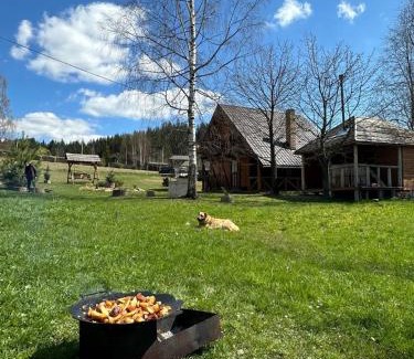 Verkhovyna Cabin | Кулуар Kuluar
