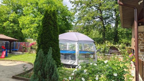 Tryavna House | Къщи за гости Тепавица - Pool & Coworking
