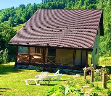 Plavya Ski Chalet | Медові Карпати