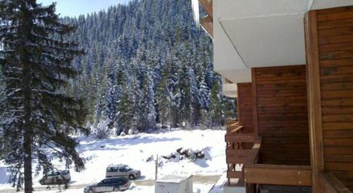 Pamporovo Apartment | Пампорово студио Милка в хотел Росица