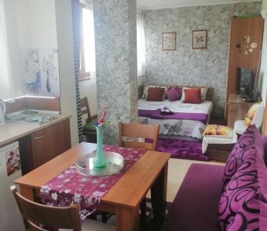 Pamporovo Apartment | Пампорово студио Милка в хотел Росица