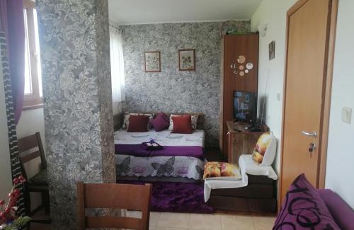 Pamporovo Apartment | Пампорово студио Милка в хотел Росица