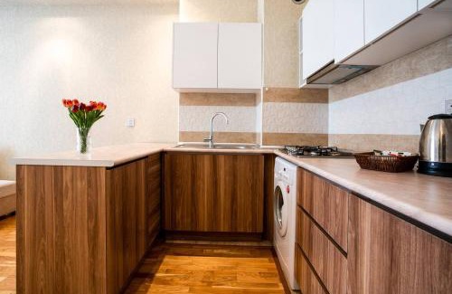 Baku Apartment | Просторная квартира Баку