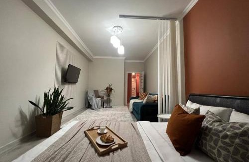 Kazakhstan Apartment | Просторные двухкомнатные апартаменты Терракота