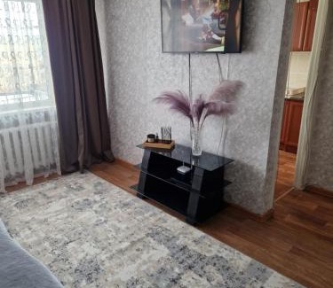 Balkhash Apartment | Сдается 1- комнатная квартира в центре, недалеко от набережной