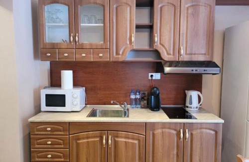 Pamporovo Apartment | Снежна приказка Пампорово в хотел Mountain Lodge ап 29