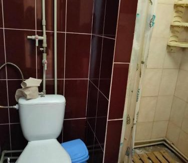 Vinnytsia Oblast House | Старий Млин