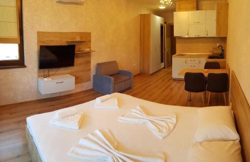 Shkorpilovtsi Apartment | Студио Дани