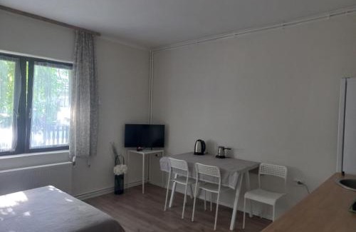Zrenjanin Apartment | Сјајни лешник
