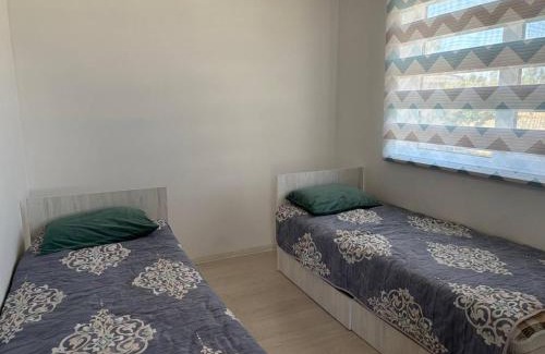 Tosor House | Тосор конок үйү AJ
