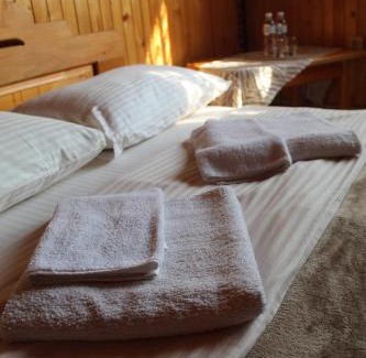 Dilyatyn Hotel | Трембіта